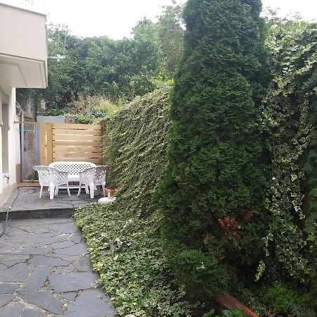 Apartamento Con Pequeno Jardin En El Centro 费罗尔 外观 照片