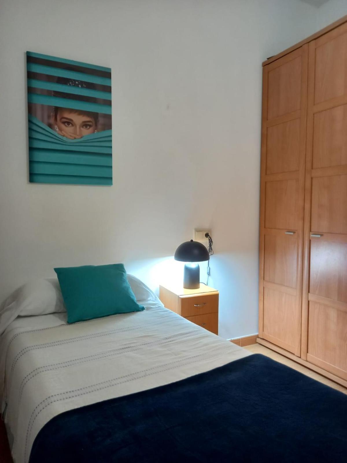 Apartamento Con Pequeno Jardin En El Centro 费罗尔 客房 照片