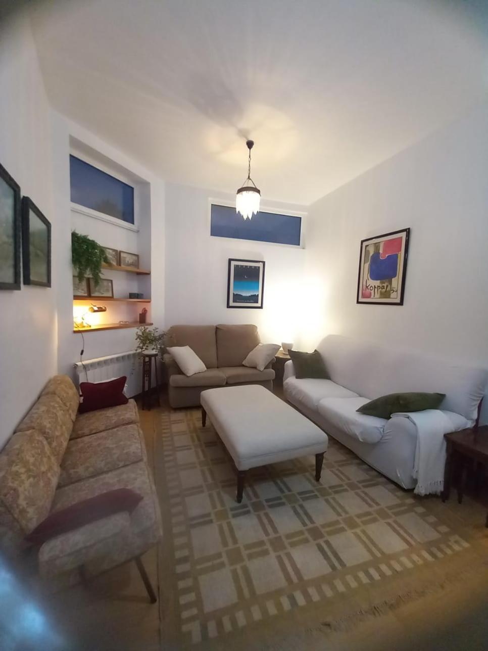 Apartamento Con Pequeno Jardin En El Centro 费罗尔 外观 照片